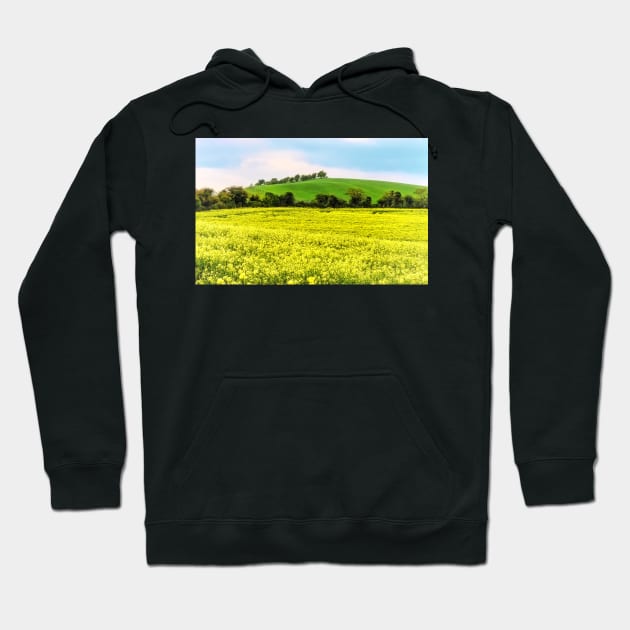 Gold and Green Landscape Hoodie by IanWL